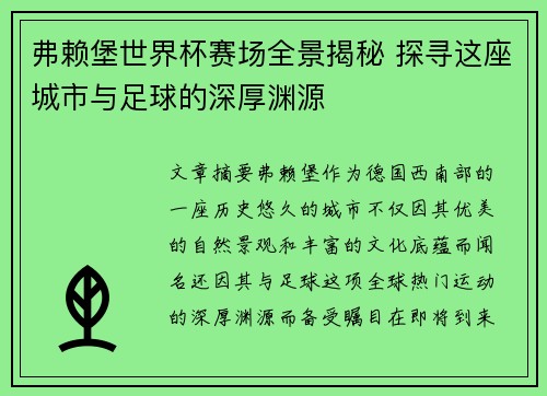 弗赖堡世界杯赛场全景揭秘 探寻这座城市与足球的深厚渊源
